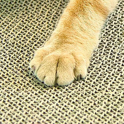 Pet Scratcher Cat Scratching Mat Cat Scratcher Board Factory Wholes Cat Board Bed 3 in 1