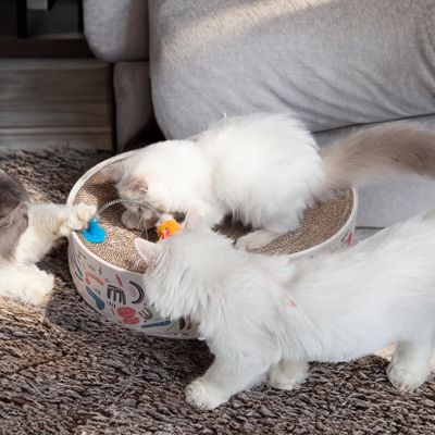 2 in 1 Oval Cat Scratch Pad Bowl Nest for Indoor Corrugated Lounge Cat Beds Protector for Couch & Carpets & Sofas