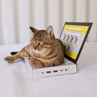 Corrugated Cat Scratching Board Computer-Shaped Cat Scratching Board Hot Sell Laptop Scratcher Cat Toy