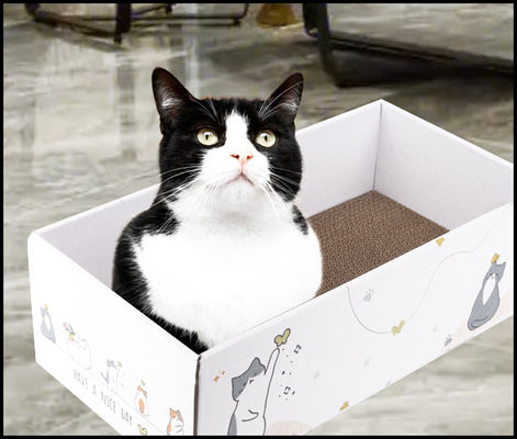 4 Pack Cat Scratch Pad with Box, Cardboard Cat Scratcher for Indoor Cats