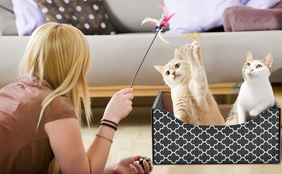 Heavy Duty Double-Sided Cardboard Cat Scratcher Bed Indoor Cats' Refillable Scratch Pad and Tree