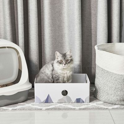 Cat Scratcher Box with Heavy-Duty Double-Sided Cardboard Pad, Cardboard Lounger, Interactive Hole Design