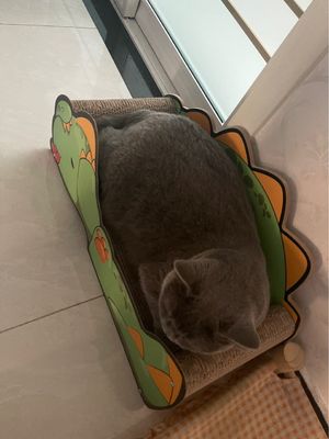 Lovely Dinosaur Sofa Cat Scratch Board Large Space Cat Scratching Board Comfortable and Resistant to Scratching