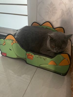 Lovely Dinosaur Sofa Cat Scratch Board Large Space Cat Scratching Board Comfortable and Resistant to Scratching