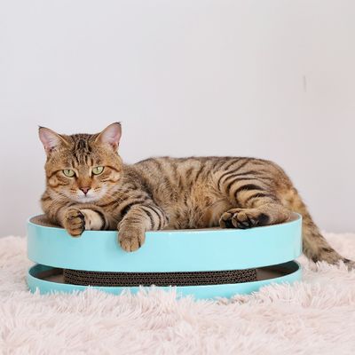 Oval Shape Ecycle Corrugate Scratcher Factory Direct Quality Cat Scratching Board Is Scratch Resistant