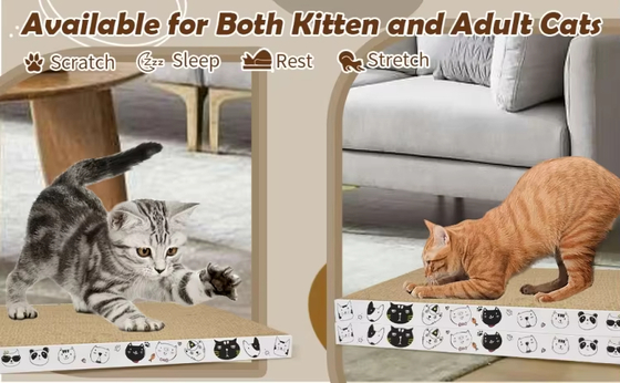 Cardboard Cat Scratcher Pad Durable for Indoor Cats Kitten Reversible Cat Scratching Board to Protect the Furniture